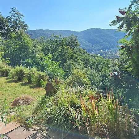 Bellevue Bad Ems *